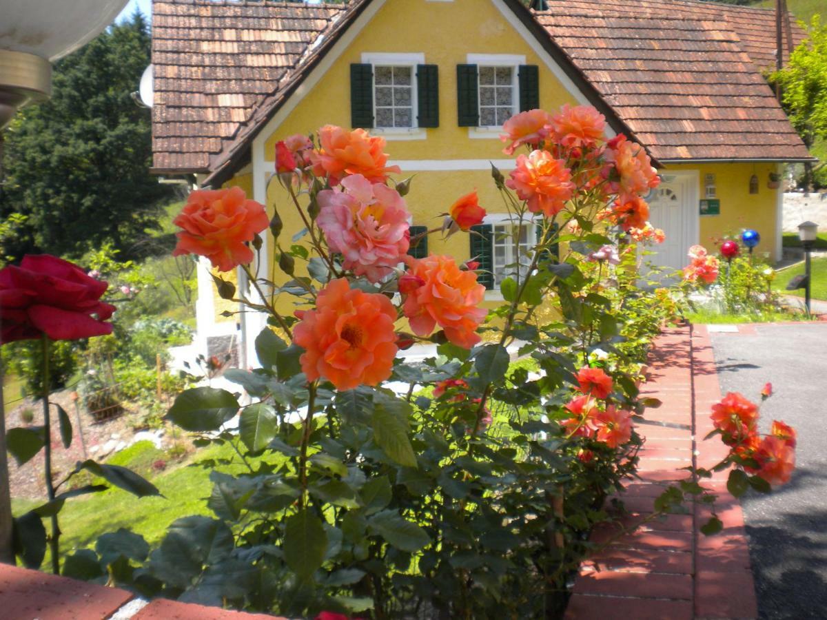 Buchschneider - Ferienhaus Maier - Landhof Schwarzautal Exteriör bild