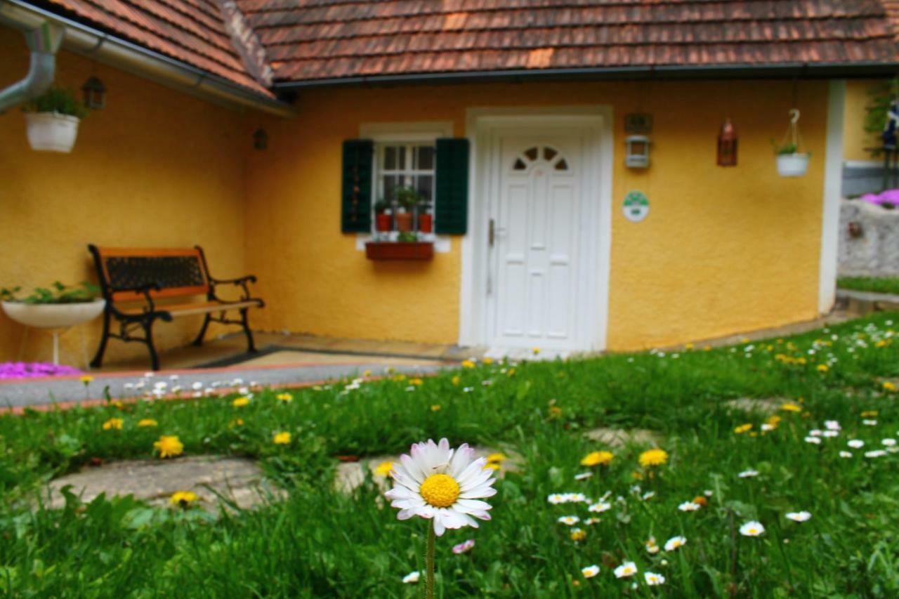 Buchschneider - Ferienhaus Maier - Landhof Schwarzautal Exteriör bild